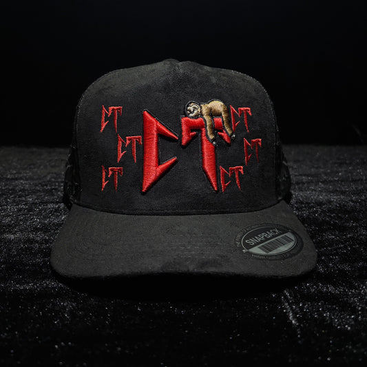 Snapback / CT